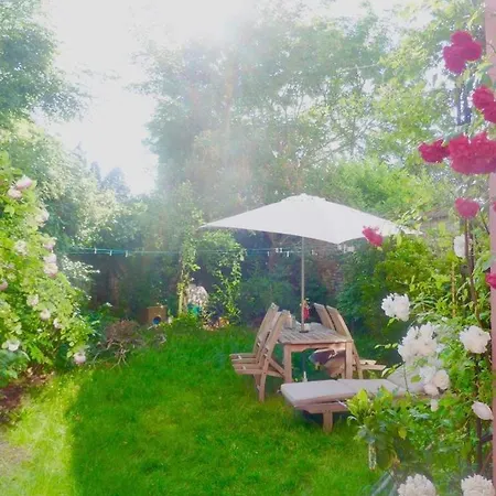Location Annuelle Superbe Duplex 3ch Jardin Apartment *